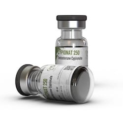 Testosteron Cypionat kaufen